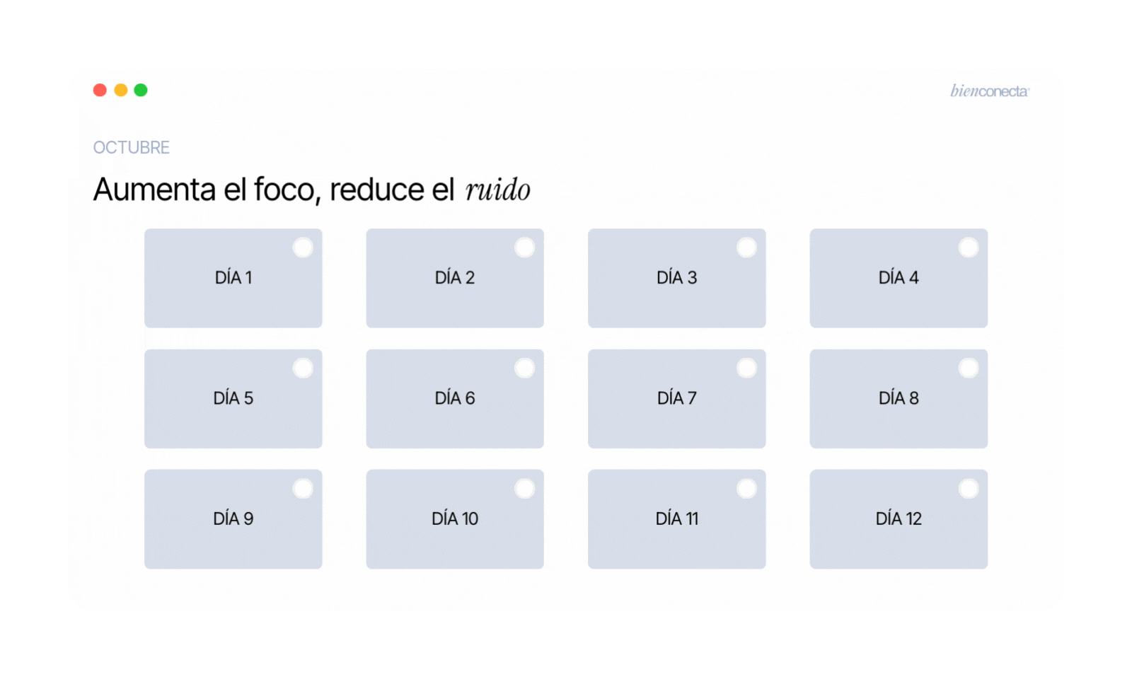 BIENCONECTA - Webinars y retos