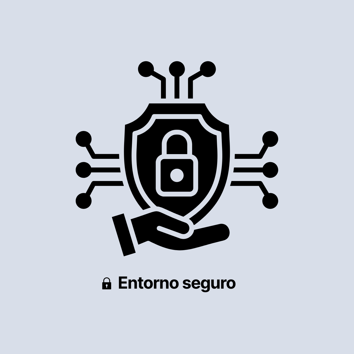 BIENCONECTA - Entorno seguro